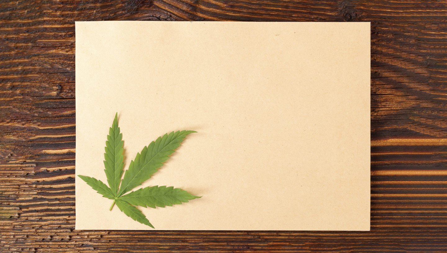 Harnessing the Sustainable Potential of Hemp Paper
