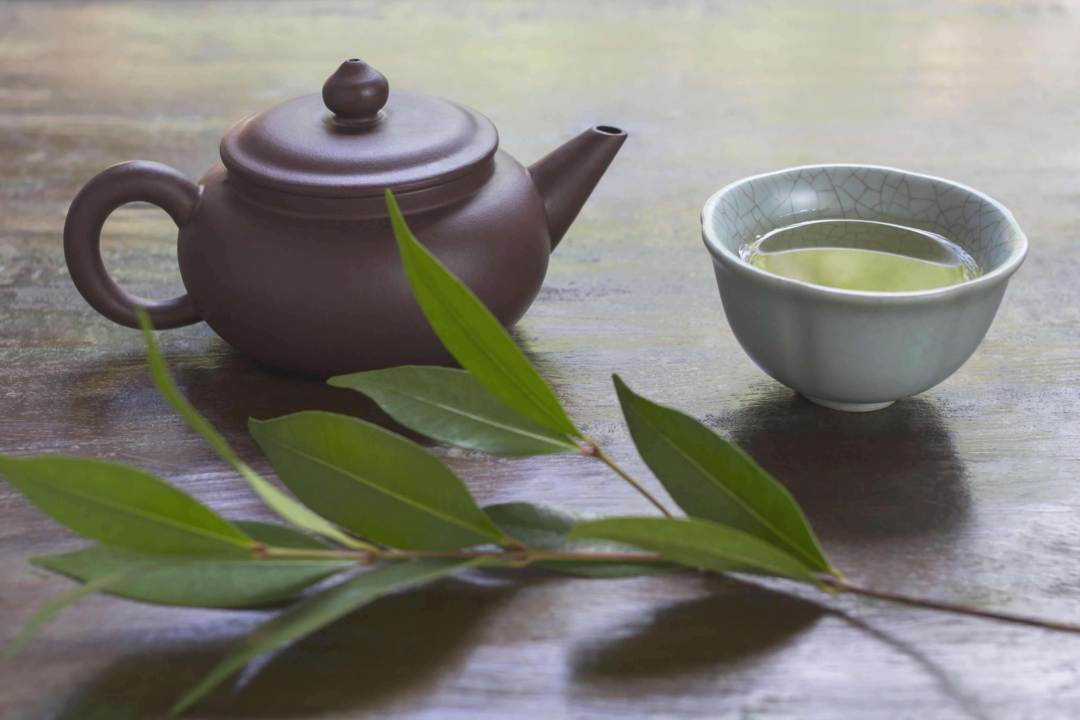 Exploring the Soothing Brew: CBD Tea and its Potential Benefits