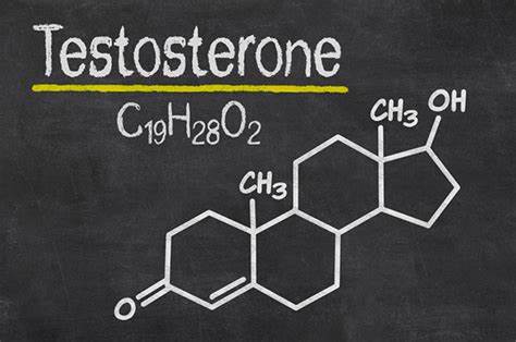 CBD and Testosterone Production: Examining the Current Research