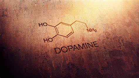 Exploring the Relationship Between CBD and Dopamine Levels: Potential Effects and Considerations