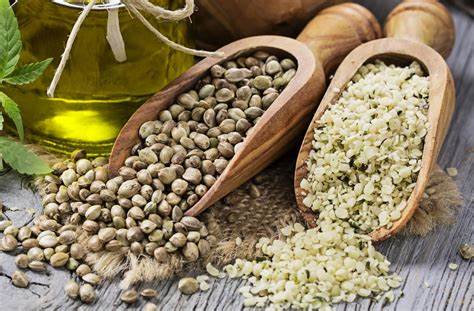 Exploring Delicious Hemp Seed Recipes: Nutritious and Versatile Superfood