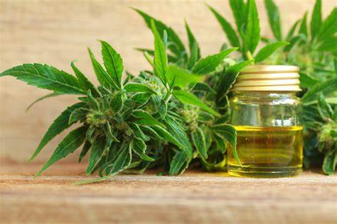 Can You Take Too Much CBD? Exploring Safety and Dosage Guidelines