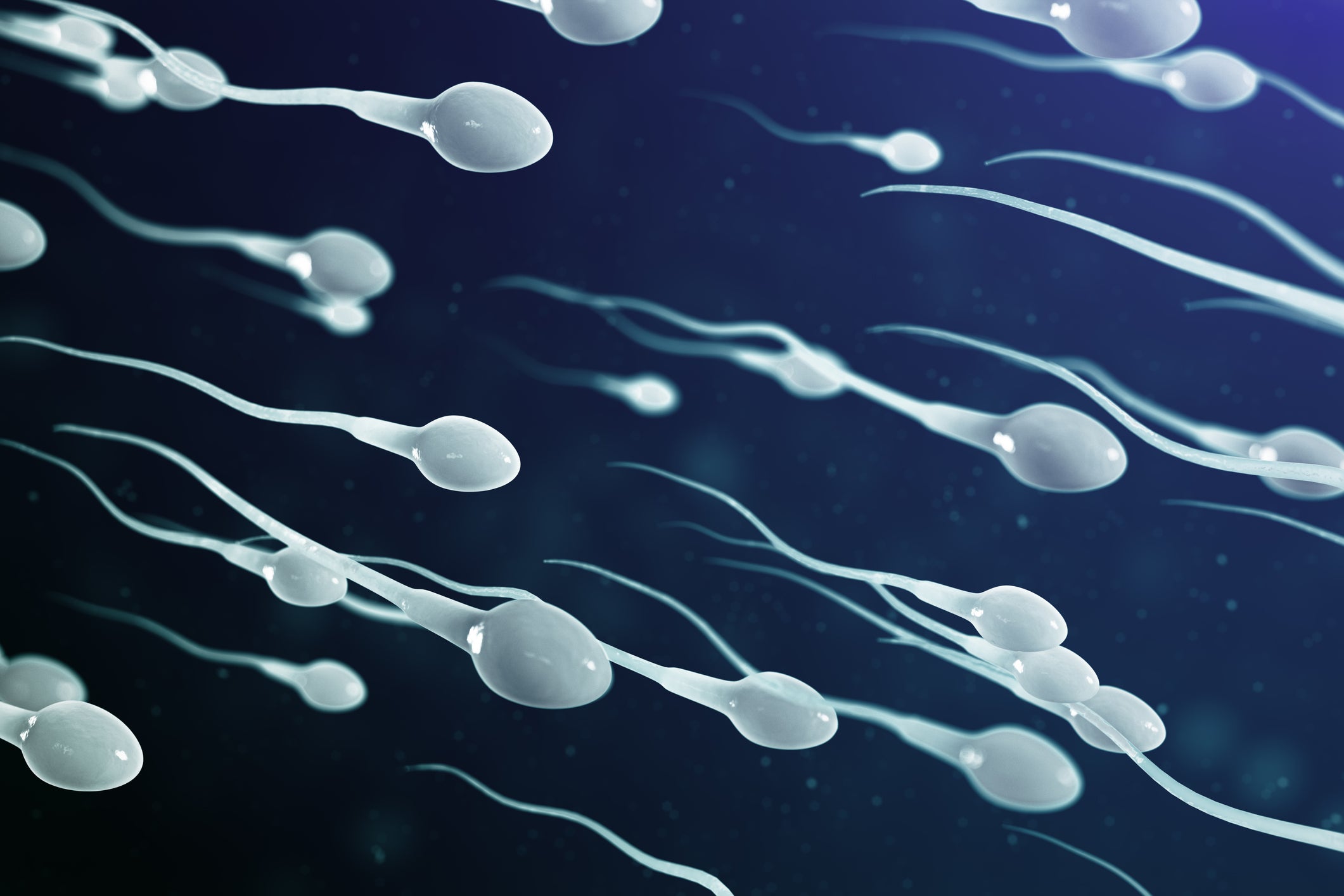 Exploring the Relationship Between CBD and Sperm Count: Current Understanding and Considerations