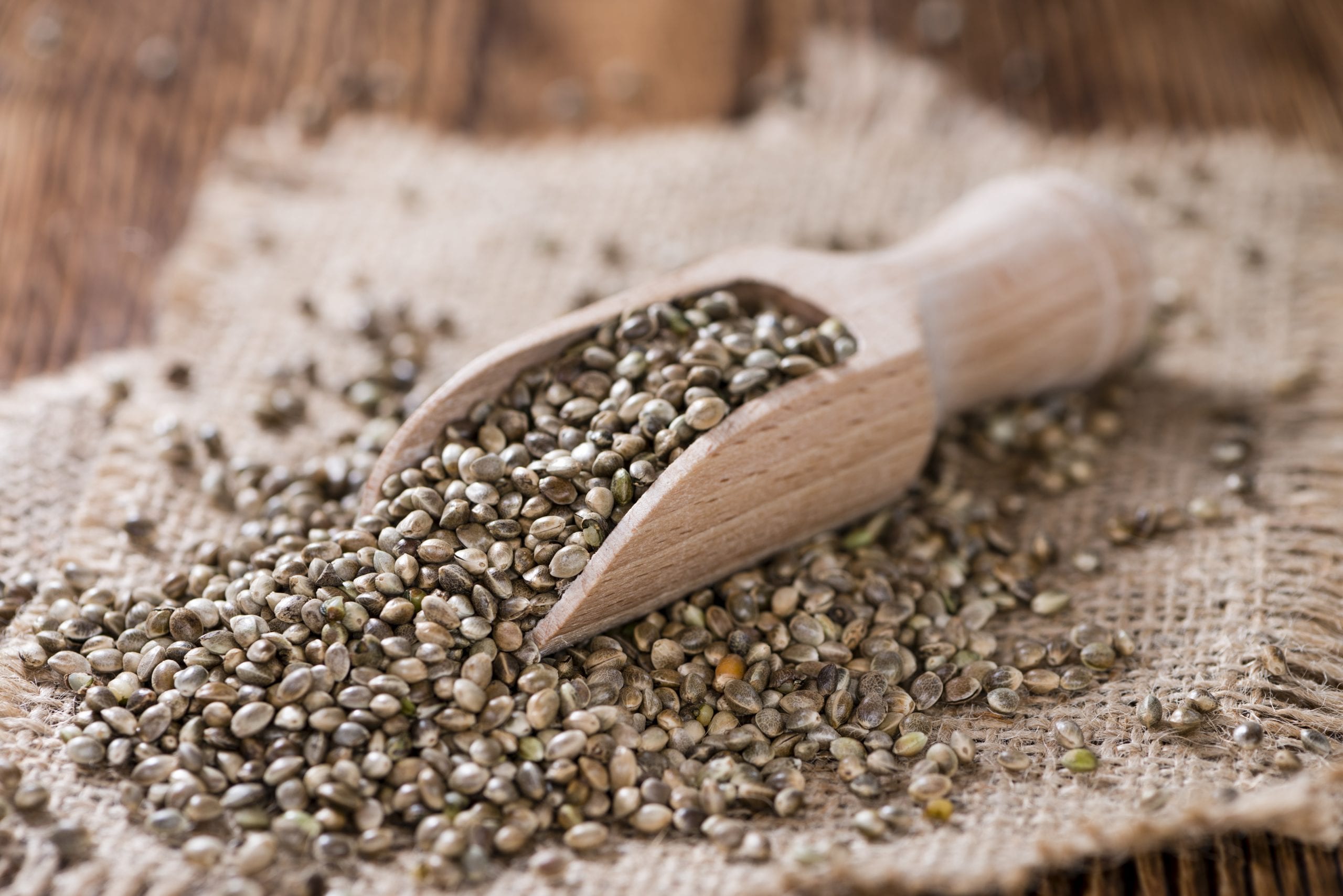 Unlocking the Nutritional Power of Hemp Seeds: A Healthful Addition to Your Diet